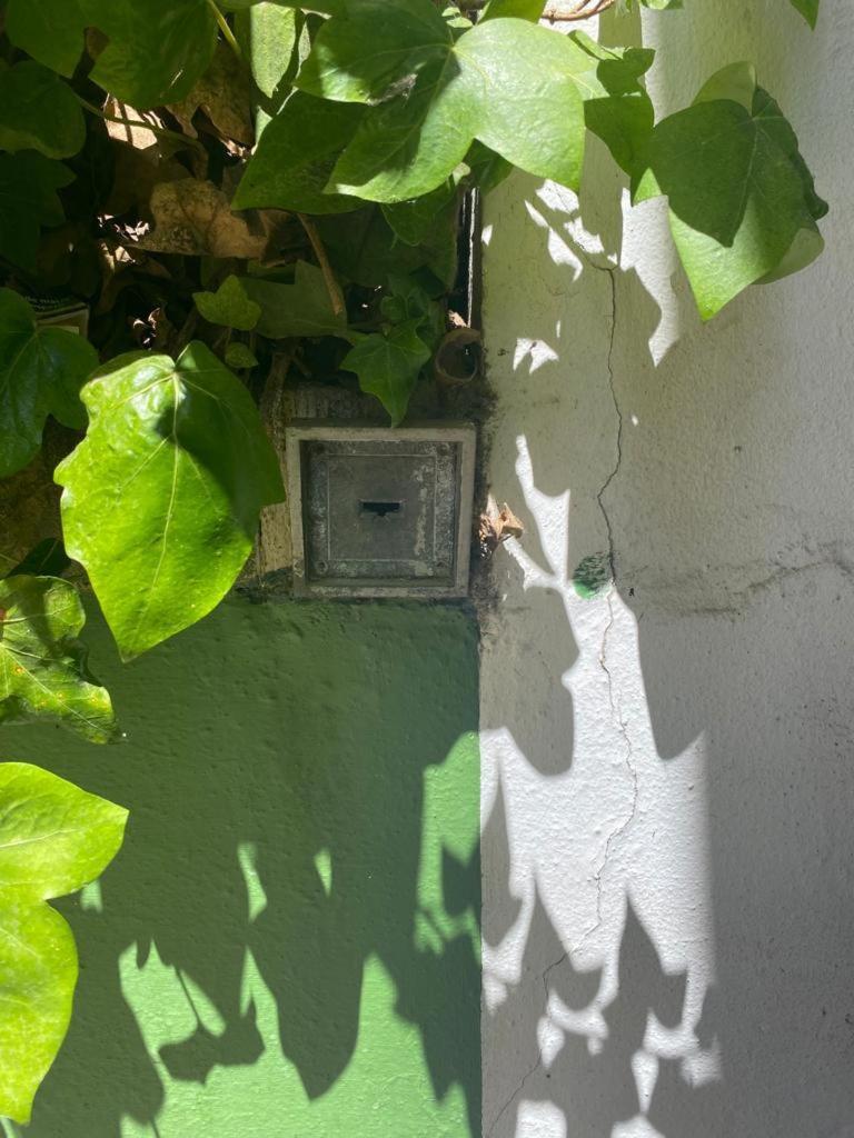 Rentalsevilla San Clemente 外观 照片